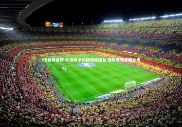 FB体育官网-非洲拳手闪耀国际擂台 强势表现征服全场