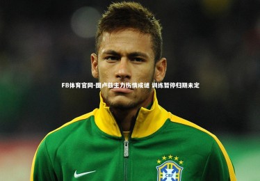 FB体育官网-图卢兹主力伤情成谜 训练暂停归期未定