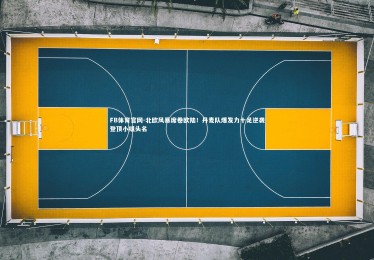 FB体育官网-北欧风暴席卷欧陆！丹麦队爆发力十足逆袭登顶小组头名