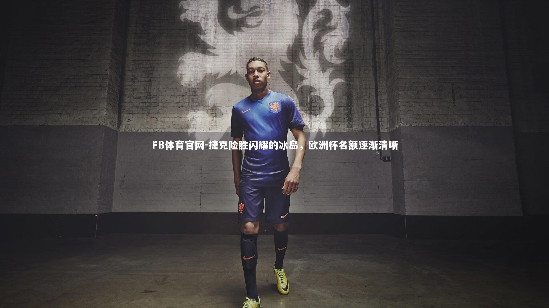 捷克险胜闪耀的冰岛,欧洲杯名额逐渐清晰