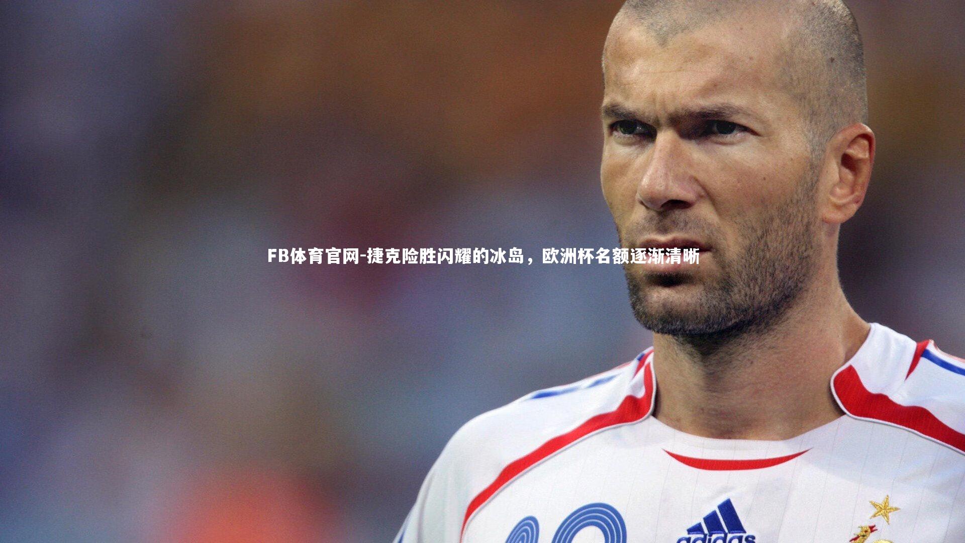 捷克险胜闪耀的冰岛,欧洲杯名额逐渐清晰