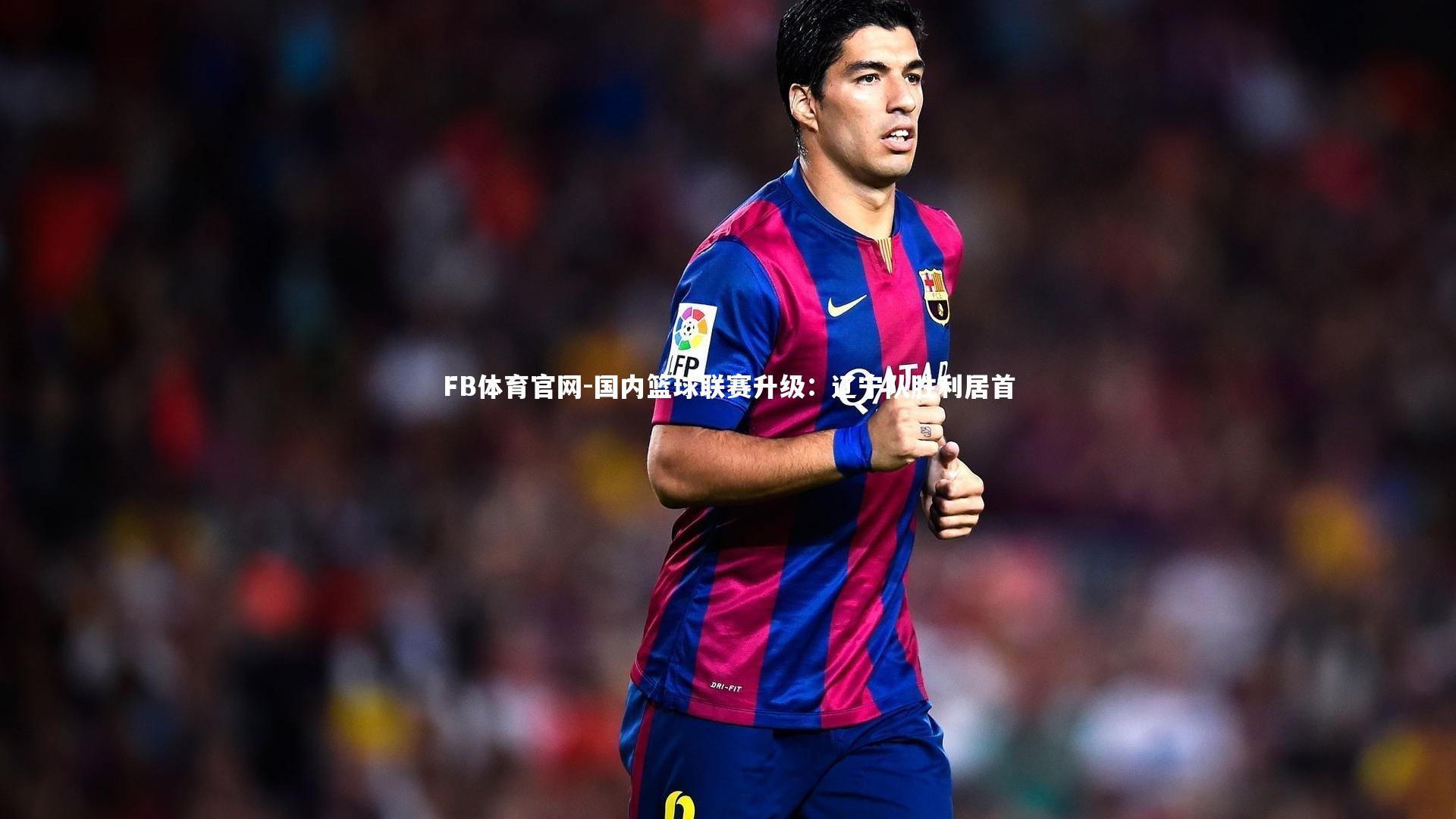 国内篮球联赛升级:辽宁队胜利居首