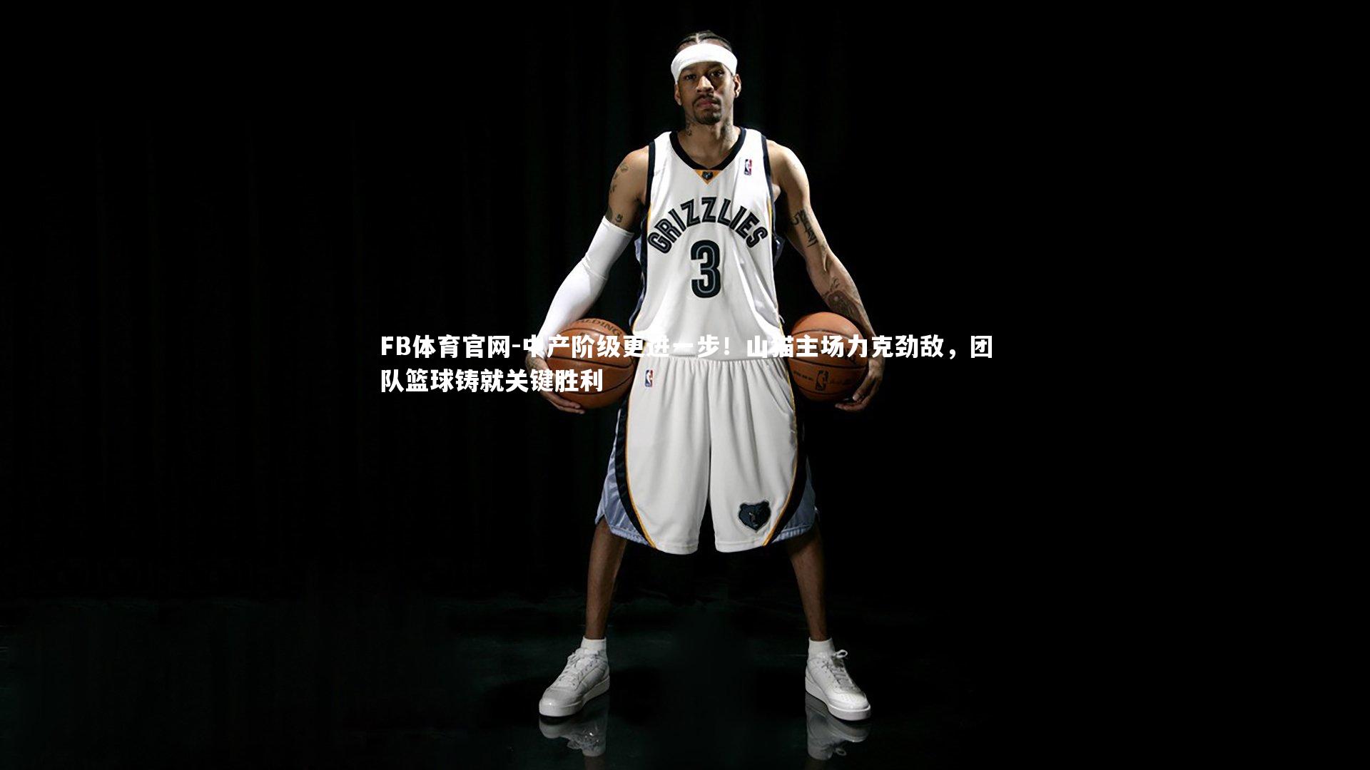 中产阶级更进一步！山猫主场力克劲敌，团队篮球铸就关键胜利