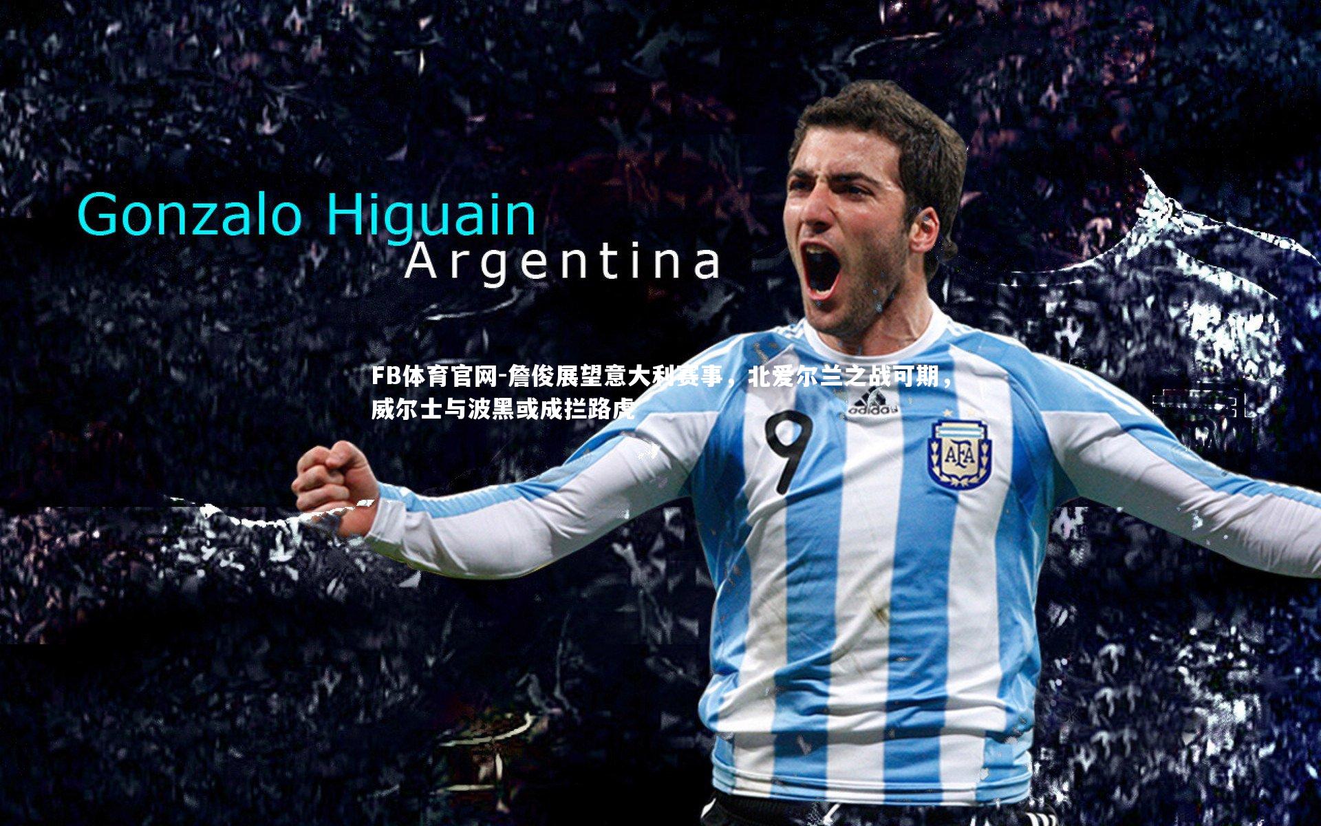 詹俊展望意大利赛事，北爱尔兰之战可期，威尔士与波黑或成拦路虎