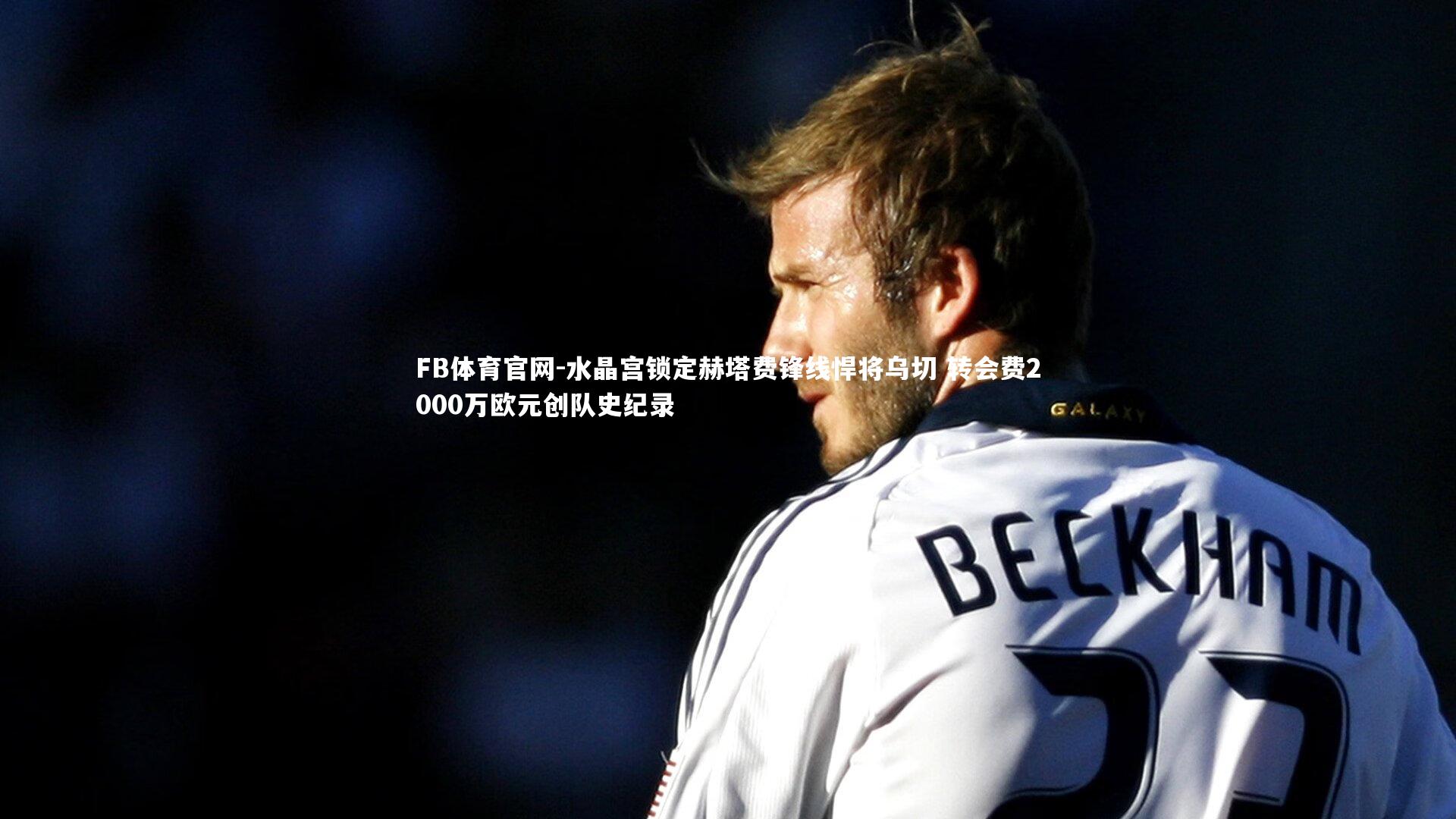 水晶宫锁定赫塔费锋线悍将乌切 转会费2000万欧元创队史纪录